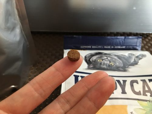 キャットフードを人差し指に乗せてみた