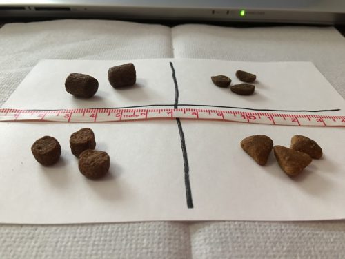 キャットフード4種の大きさ比較