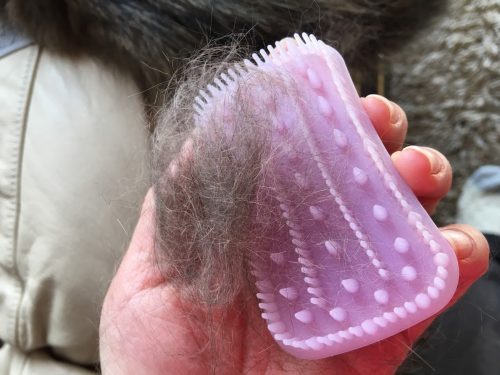 ブラッシング後の猫の抜け毛