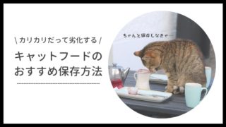 キャットフードの保存方法