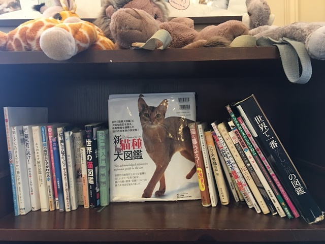 沢山の猫に関する本