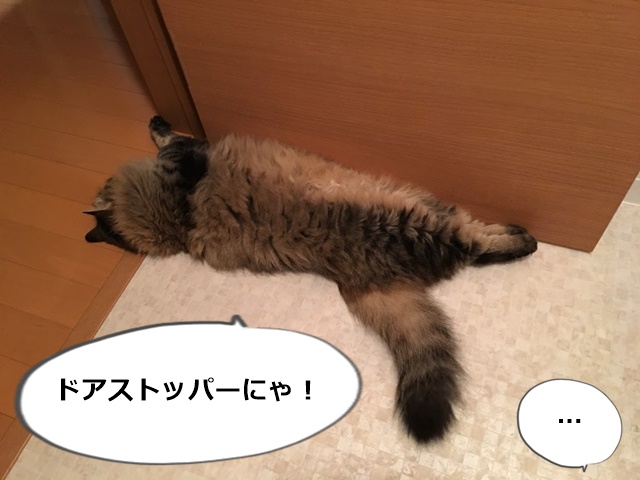 ドアを押さえる猫
