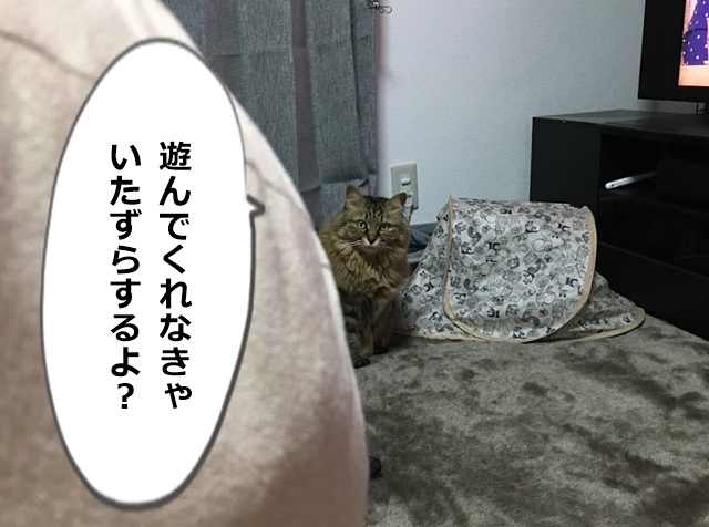 100 猫 テレビの裏 対策 100 で最高の画像