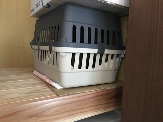 ねどこになったハードキャリー