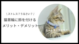 猫首環に鈴をつけるメリット・デメリット
