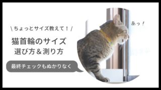 猫の首輪のサイズの選び方、測り方