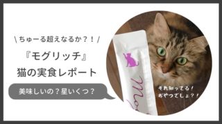 猫用おやつモグリッチの安全性や評判は?