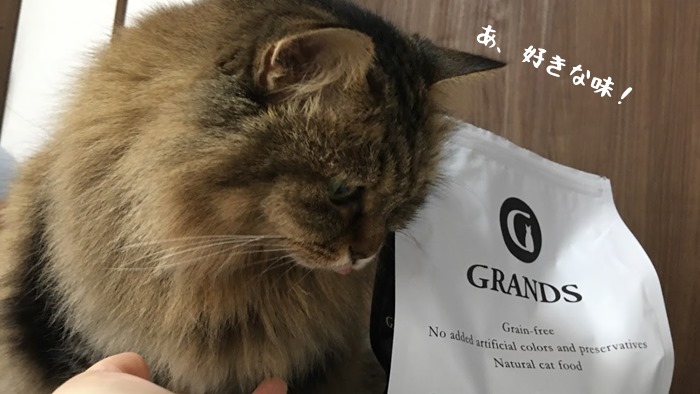 グランツサーモンを食べる猫