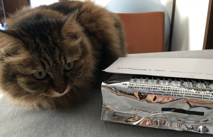 ファインキャットフードが気になる猫