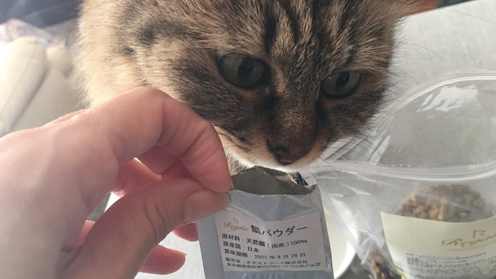 レガリエの鯛パウダーに食いつく猫