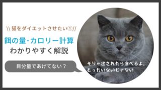 ダイエットさせたい猫の餌の量とカロリー計算方法