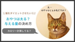 猫のダイエット、おやつは太る?与える量は?