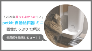 petkit自動給餌器ミニの口コミ評判をレビュー!洗い方や乾燥剤の予備は?