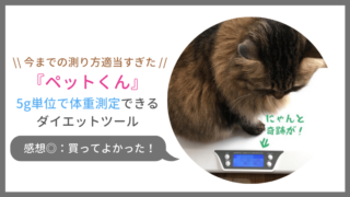 猫の体重測定に小型ペットスケール「ペットくん」を買ったワケ
