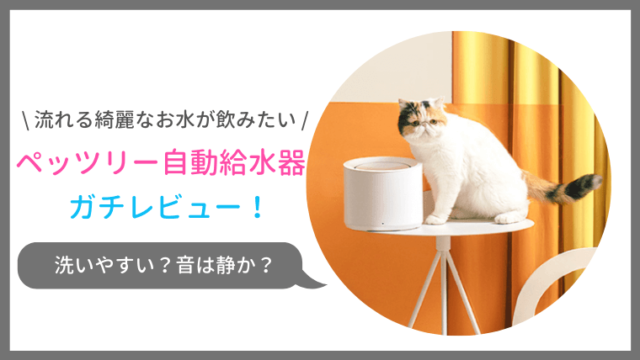 猫に自動給水器を購入したけどどうなの ペッツリーの構造や使い方をガチレビュー ねこ365