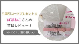 ぽぽねこのハゲにくい首輪の感想!割引コードプレゼントも