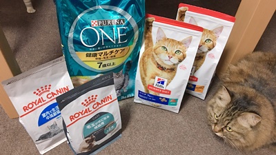 シニア猫用のキャットフード選び