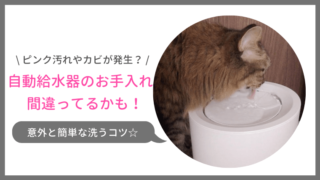 洗い方間違ってない?自動給水器のピンク汚れやカビを防ぐお手入れ方法をご紹介!
